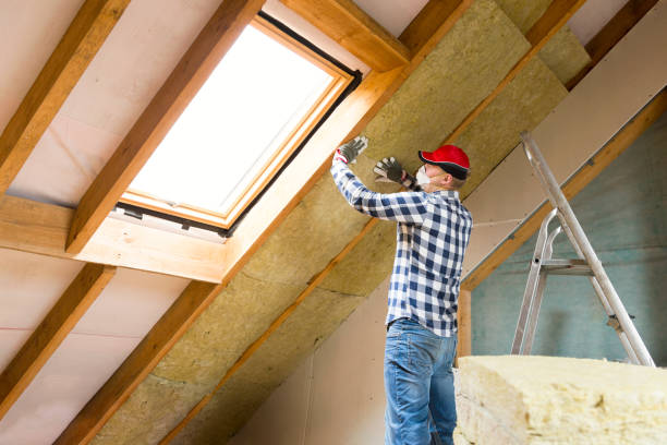 Best Commercial Insulation Services  in Waseca, MN